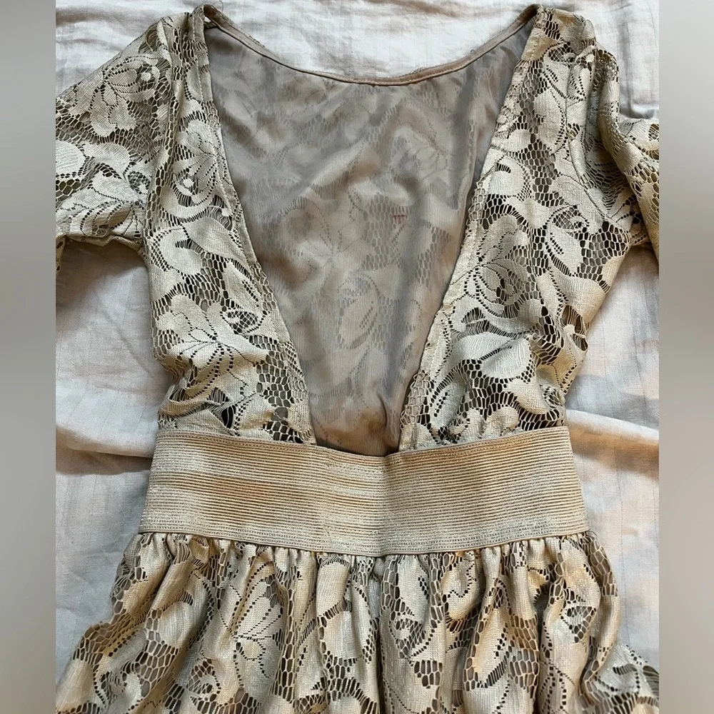 Zara Crème Net Lace Dress - Picture 10 of 12